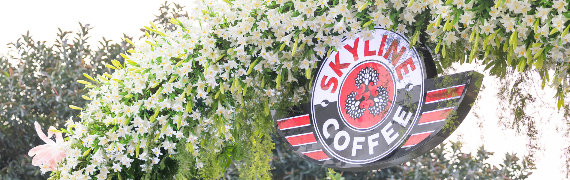 Ảnh logo skyline hoa bách hợp