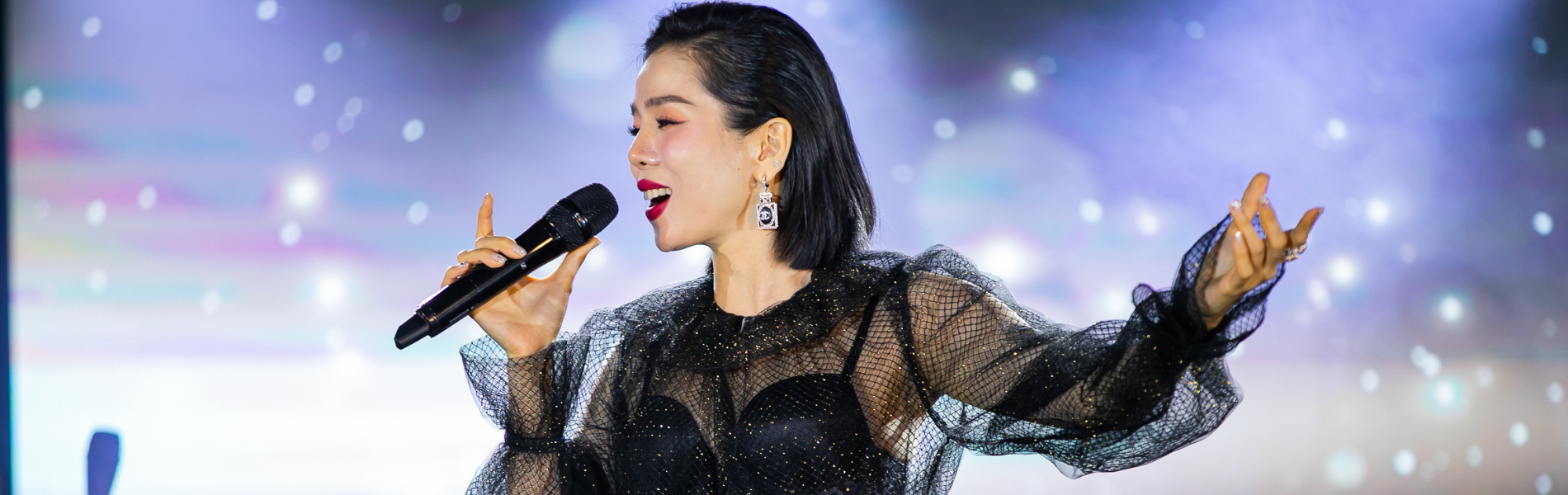 ảnh ca sĩ lệ quyên